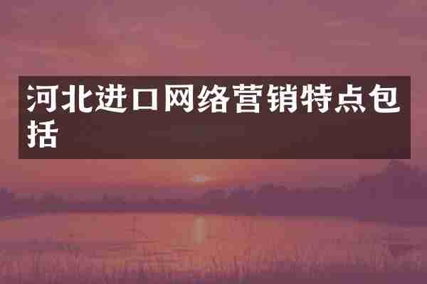 河北进口网络营销特点包括