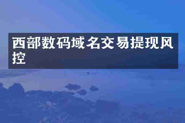 西部数码域名交易提现风控