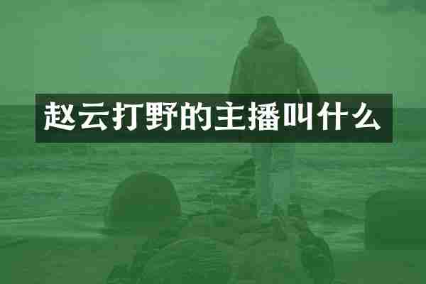 赵云打野的主播叫什么