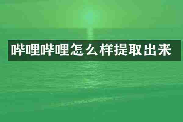 哔哩哔哩怎么样提取出来