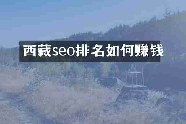 西藏seo排名如何赚钱