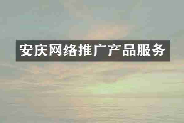 安庆网络推广产品服务