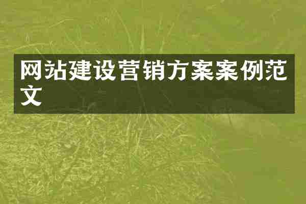 网站建设营销方案案例范文