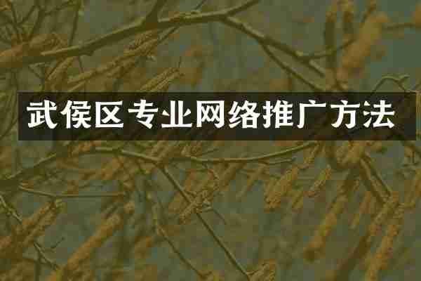 武侯区专业网络推广方法