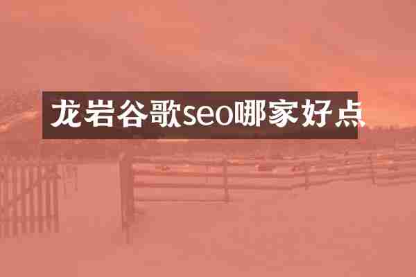 龙岩谷歌seo哪家好点