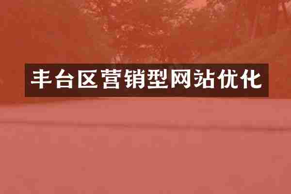 丰台区营销型网站优化