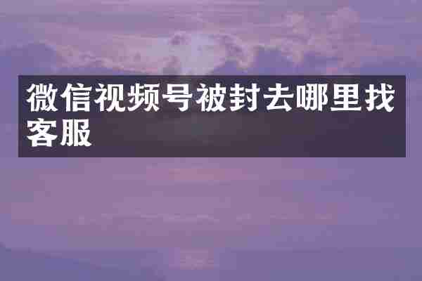 微信视频号被封去哪里找客服