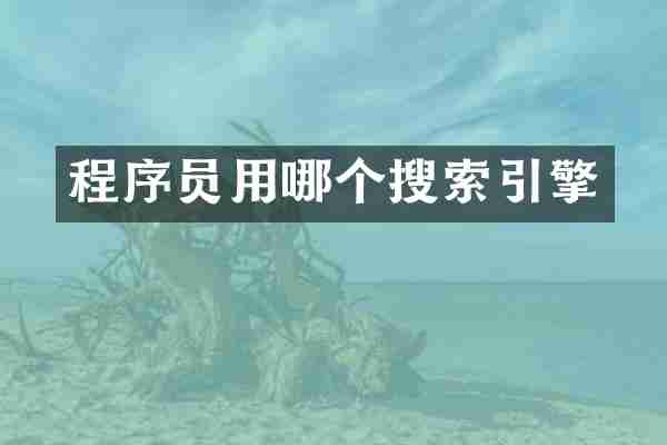 程序员用哪个搜索引擎