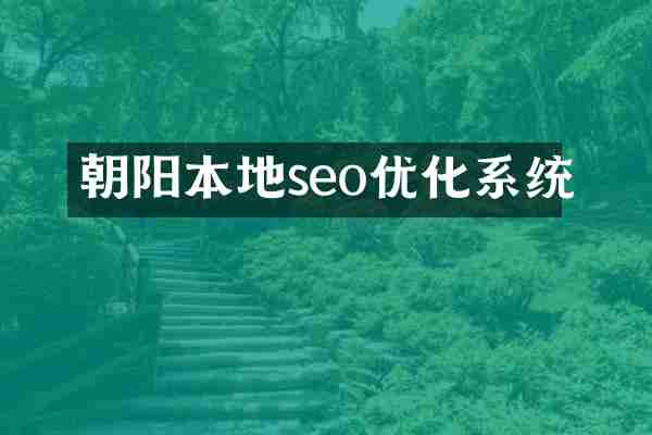 朝阳本地seo优化系统