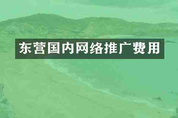 东营国内网络推广费用