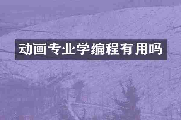动画专业学编程有用吗