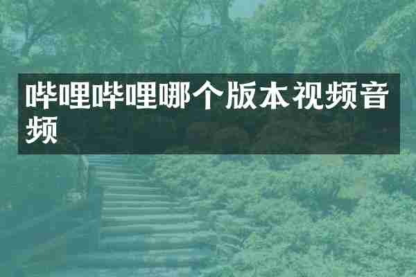 哔哩哔哩哪个版本视频音频