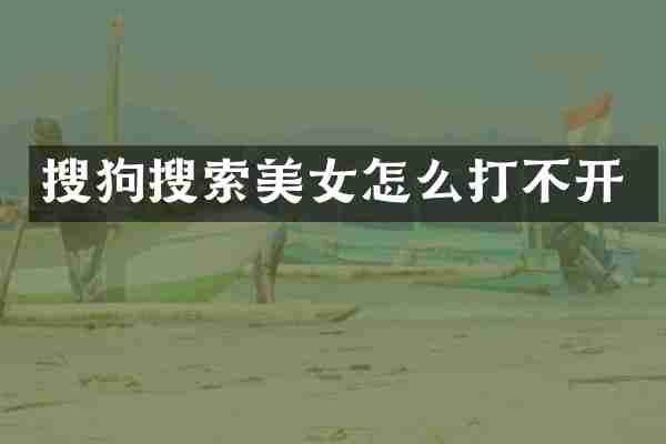 搜狗搜索怎么打不开