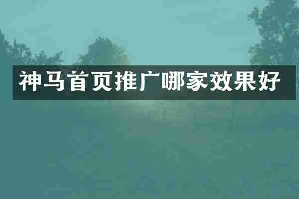 神马首页推广哪家效果好