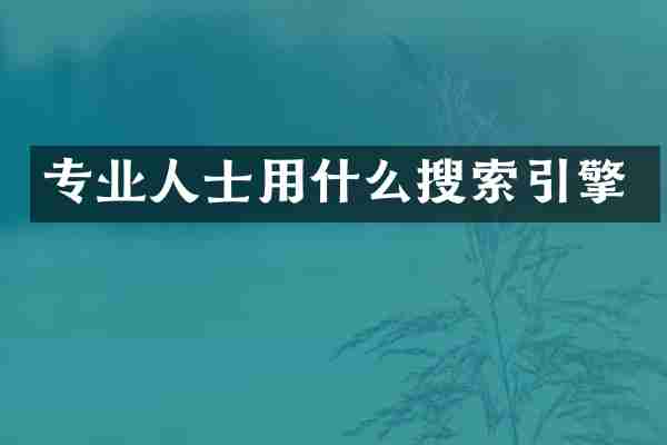 专业人士用什么搜索引擎