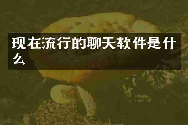现在流行的聊天软件是什么