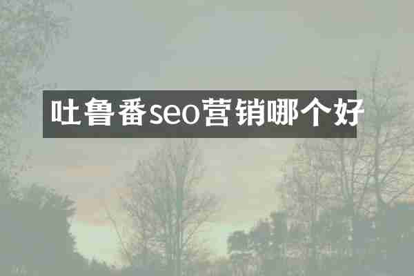 吐鲁番seo营销哪个好