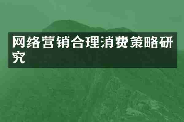 网络营销合理消费策略研究