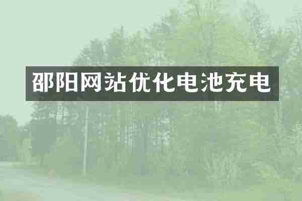 邵阳网站优化电池充电