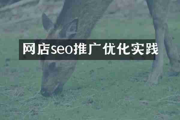 网店seo推广优化实践