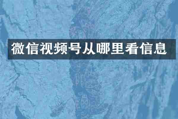 微信视频号从哪里看信息