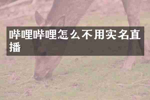 哔哩哔哩怎么不用实名直播