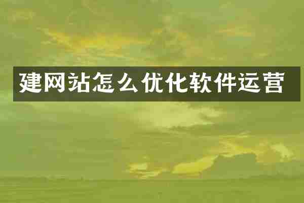 建网站怎么优化软件运营