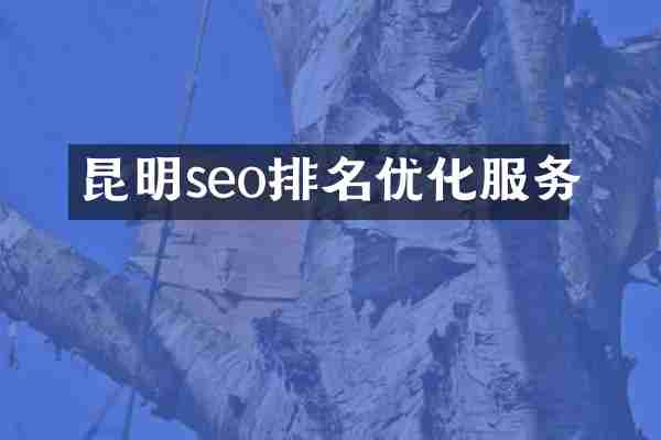 昆明seo排名优化服务