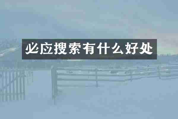 必应搜索有什么好处