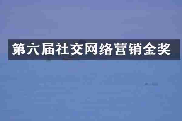 第六届社交网络营销金奖