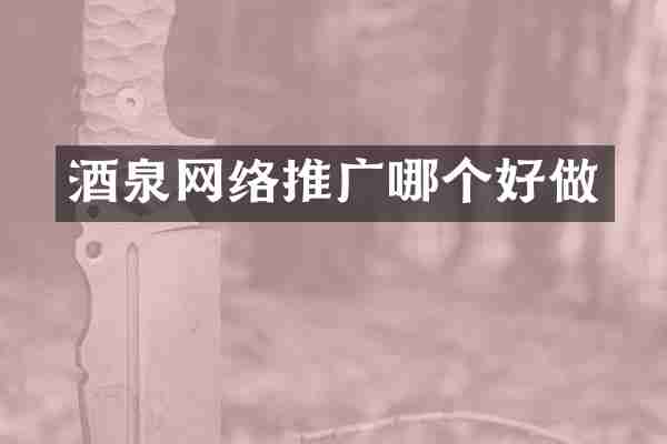 酒泉网络推广哪个好做