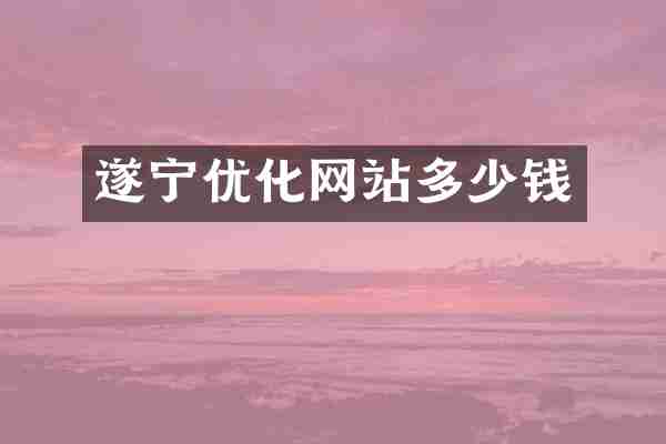 遂宁优化网站多少钱