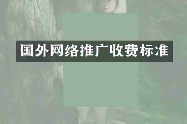 国外网络推广收费标准