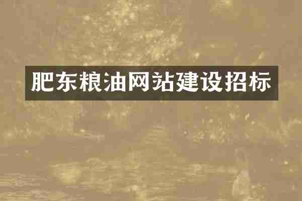 肥东粮油网站建设招标