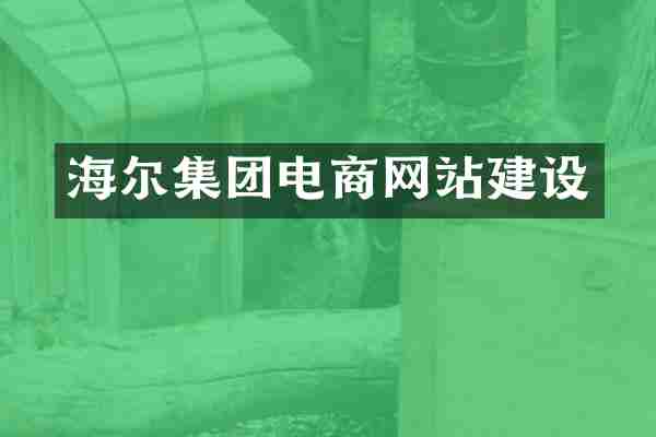 海尔集团电商网站建设