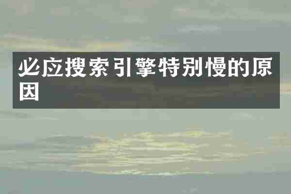 必应搜索引擎特别慢的原因
