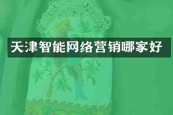 天津智能网络营销哪家好