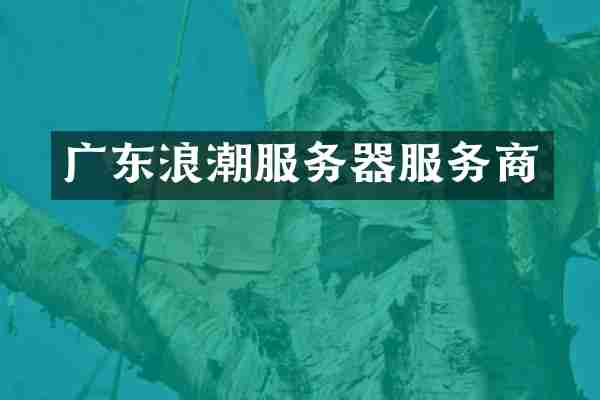 广东浪潮服务器服务商