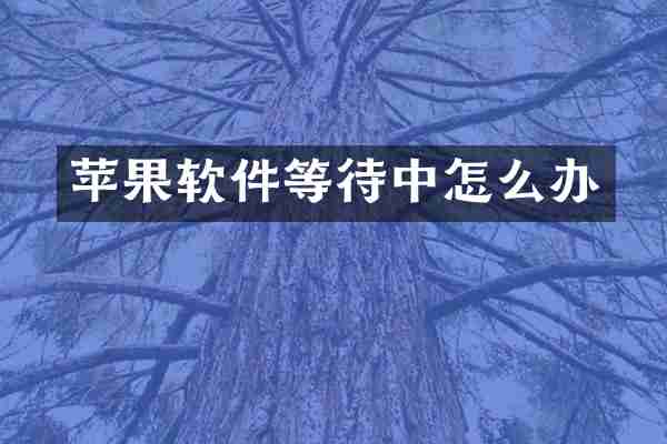 苹果软件等待中怎么办