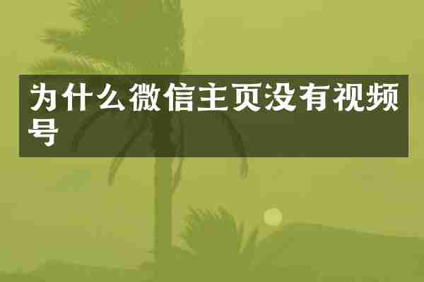 为什么微信主页没有视频号