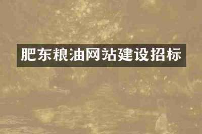 肥东粮油网站建设招标