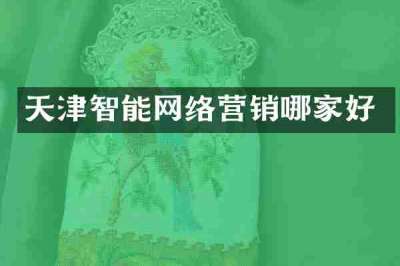 天津智能网络营销哪家好