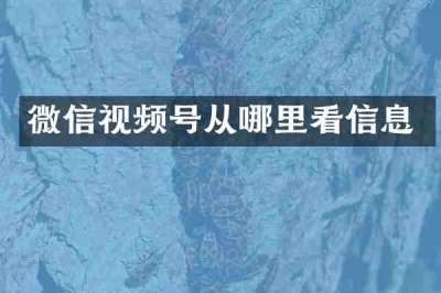 微信视频号从哪里看信息
