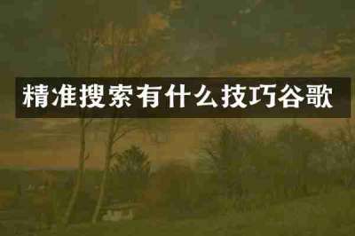 精准搜索有什么技巧谷歌