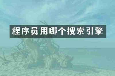程序员用哪个搜索引擎