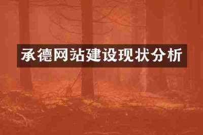 承德网站建设现状分析