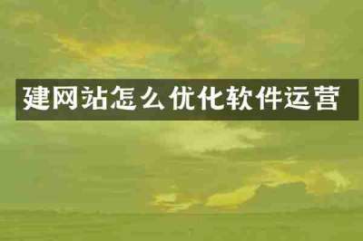 建网站怎么优化软件运营