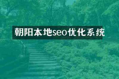 朝阳本地seo优化系统