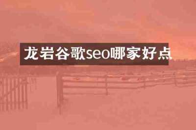 龙岩谷歌seo哪家好点