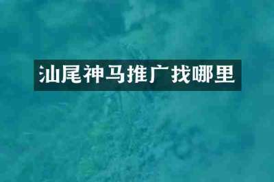 汕尾神马推广找哪里